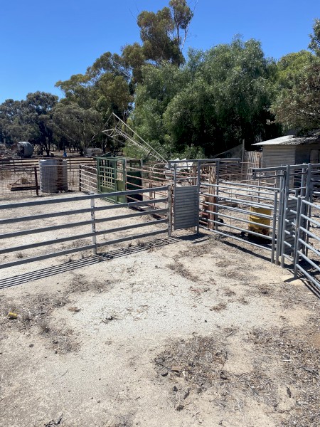 Cattle Yards