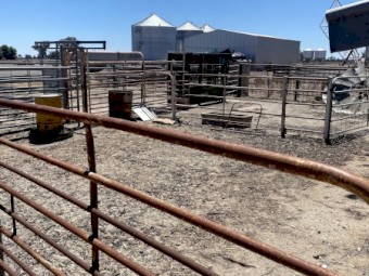 Cattle Yards