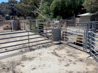 Cattle Yards