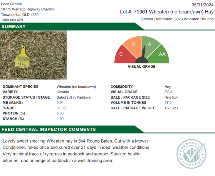 2023 Awnless Wheaten Hay