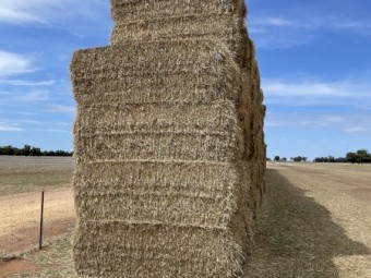 400t Wheat Straw 8x4x3 bales