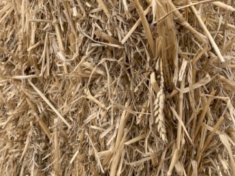 400t Wheat Straw 8x4x3 bales