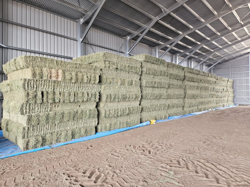Small Lucerne bales 