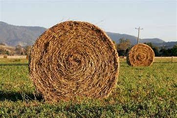 Pasture Hay - Benalla