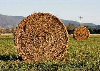 Pasture Hay - Benalla