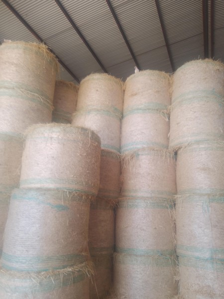New Seasons (2023) Wheaten Hay Rolls. Clean. No Weather Damage