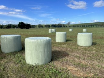 Lucerne silage