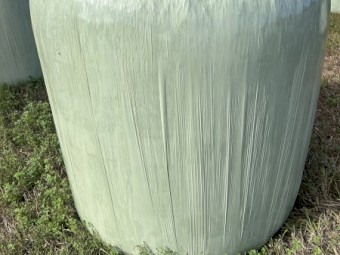 Lucerne silage