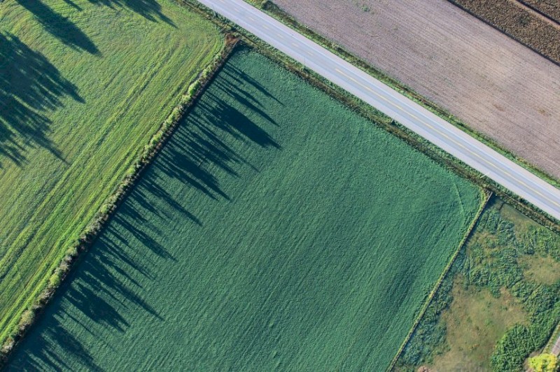 WANTED Cattle Grazing Property