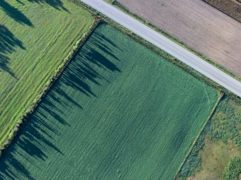 WANTED Cattle Grazing Property
