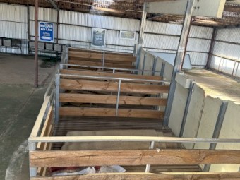 Shearing board 