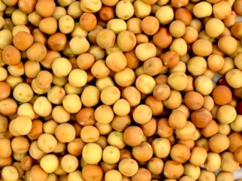 WANTED 10mt Dunn Pea Seeds