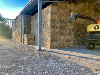 1000mt Awnless Wheaten Hay 8x4x4 / 8x4x3 and 5x4 Round Bales