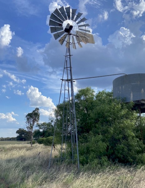 Windmill Southern Cross