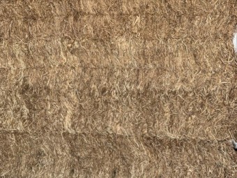 2023 Vetch Hay