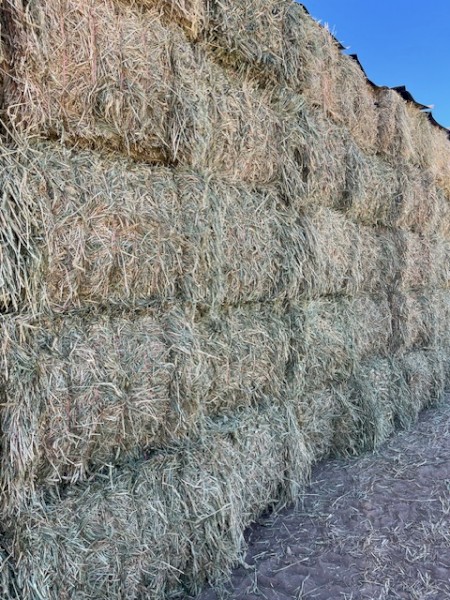 140 x Wheaten Hay 8x4x3 Bales
