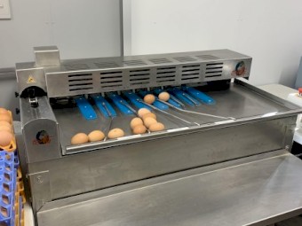 Near New Egg Grader  -  Riva Selegg S21 - European Quality
