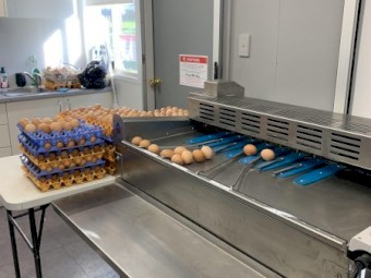 Near New Egg Grader  -  Riva Selegg S21 - European Quality