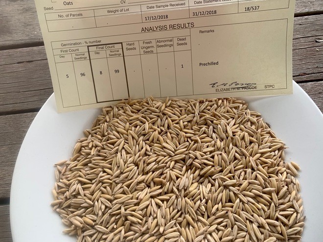 Yallara Oats