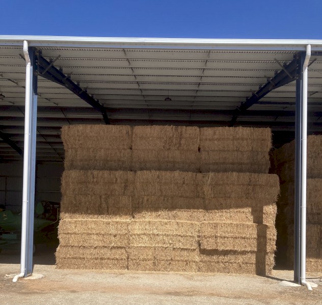 2023 Vetch Hay