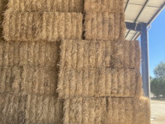 2023 Vetch Hay