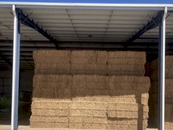 2023 Vetch Hay