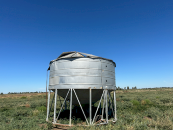 Field Bin