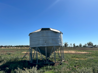 Field Bin