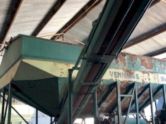 Vennings Grouper