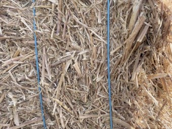 Canola Header Tailings 8x4x3 Bales