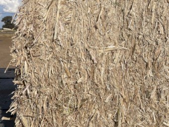 Canola Header Tailings 8x4x3 Bales