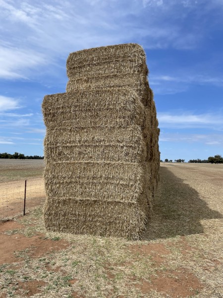 Wheaten Straw 8x4x3 Bales