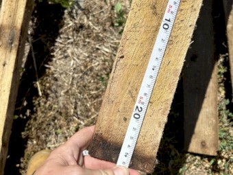 Sheep shed timber flooring