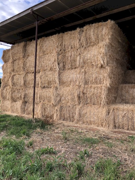 Oaten Hay 23/24 Season