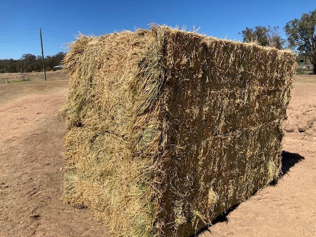 Prime 8*4*3 Lucerne Sold by the tonne minimum 25 tonne