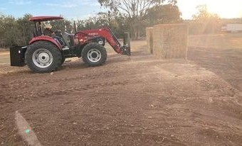 Quality Lucerne Hay 8*4*3