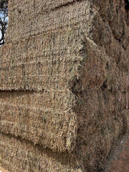 200mt Vetch Hay 640–650kg 8x4x3 Bales (New Season 23/24)