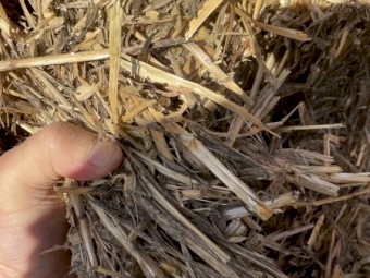 Oaten Hay 