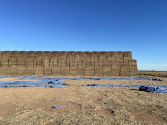 Oaten Hay 