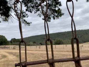 Harrows
