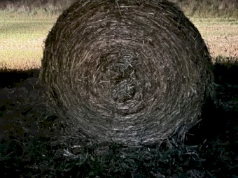 Oaten hay 23/24 season