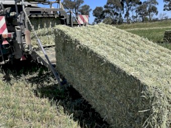 Oaten 23/24 
