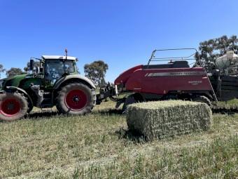 Oaten 23/24 
