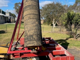 Bison Roller