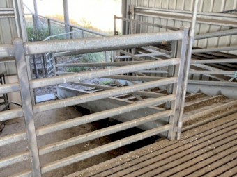 Shearing Module