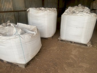 Seamer chickpeas 