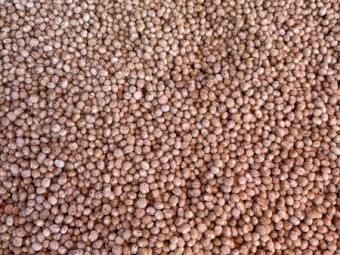 100t Lupins