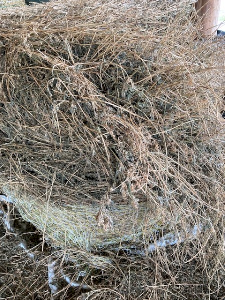 Shedded 4*4 Prime Blue Grass Hay 1st Cut 