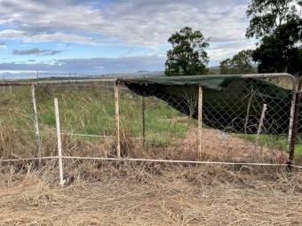 Paddock gates