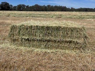 500mt Oaten Hay 600-620kg 8x4x3 Bales